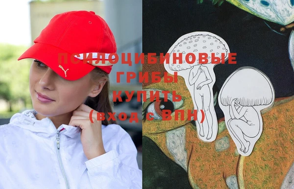 трава Верея