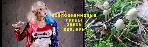 трава Верея