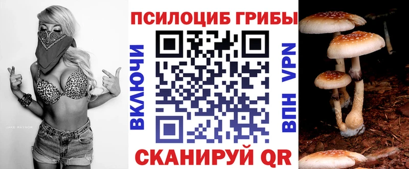 где продают наркотики  это наркотические препараты  Галлюциногенные грибы ЛСД  Злынка 
